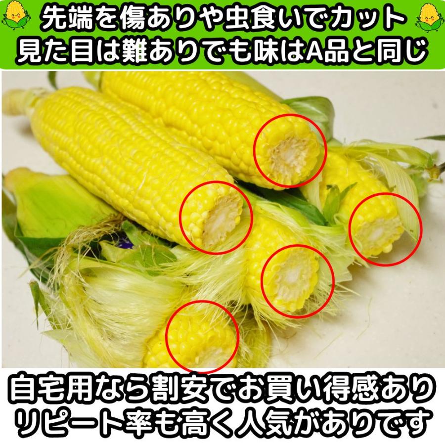 とうもろこし わけあり 桃より甘い 2L-L混合 12本 朝採 甘い 県外不出