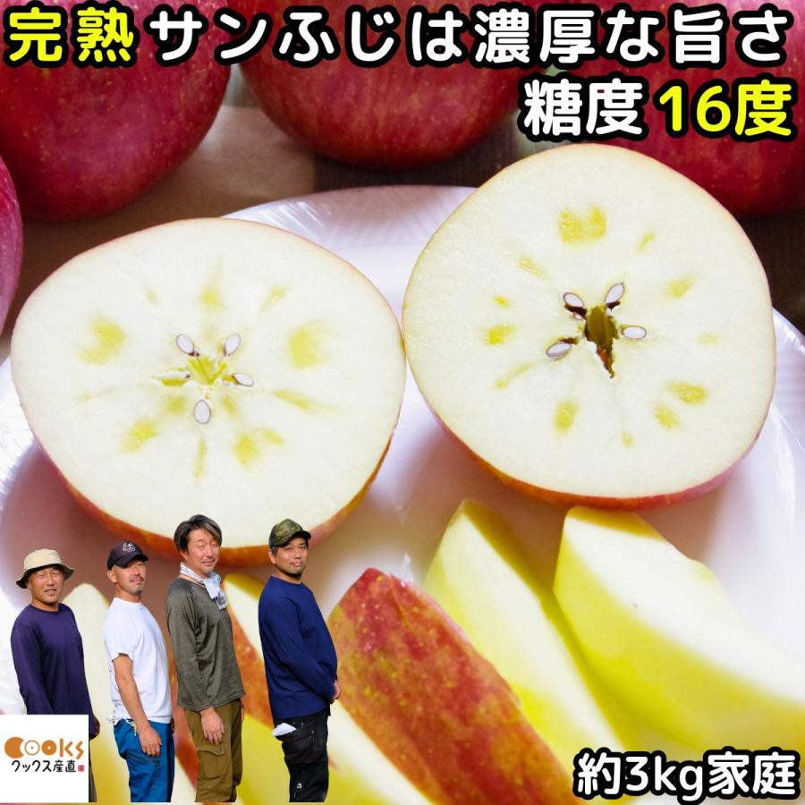 りんご 長野 信州 完熟 サンふじ 約 3kg 6-12玉 家庭用 飯綱 訳あり 蜜