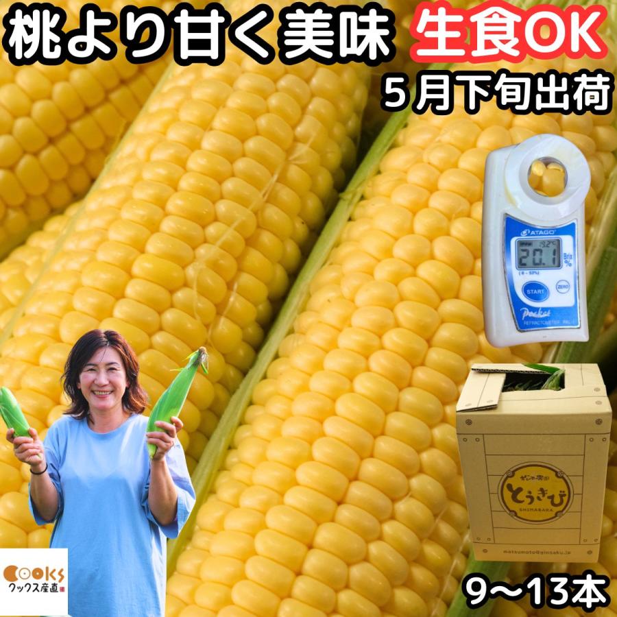とうもろこし 生食OK 桃より甘い 3L〜L 4-5本 9-13本 朝どれ 長崎 島原
