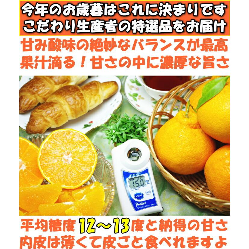 不知火 デコポン 同品種 熊本 お歳暮 贈答用 高級 甘い 大玉 ハウス 3kg 7〜8玉 ギフト プレゼント 2023｜cooksanchoku｜06