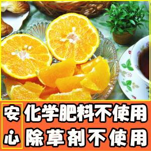 贈答用　約5kg × ４箱 デコポン　rose ご自宅用「デコポン」熊本県産 無印 約5kg（18〜24玉）産地箱 ※常温
