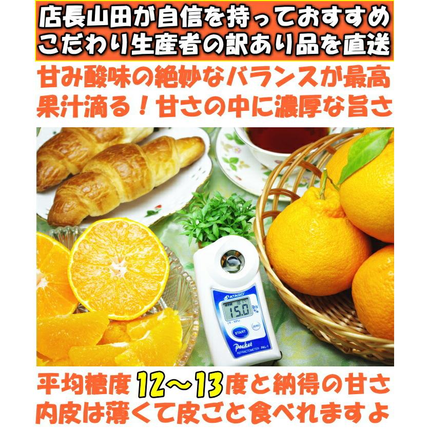 贈答用　約5kg × ４箱 デコポン　rose ご自宅用「デコポン」熊本県産 無印 約5kg（18〜24玉）産地箱 ※常温