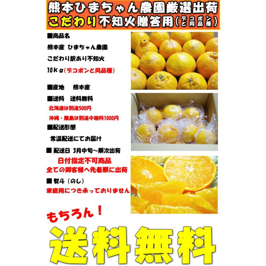 デコポン 同品種 不知火 訳あり 10kg 熊本 鮮度保持袋入 個包装 甘い 糖度 家庭用 安心の化学肥料 除草剤不使用｜cooksanchoku｜04