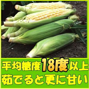 りりお★とうもろこし10本とマンゴー2kg りりお☆とうもろこし10本とマンゴー2kg りりお様専用