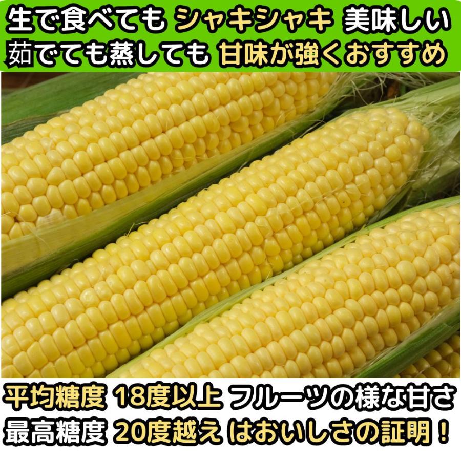 とうもろこし 北海道 2L〜L 10本 メロンより甘い 朝どれ 生食OK
