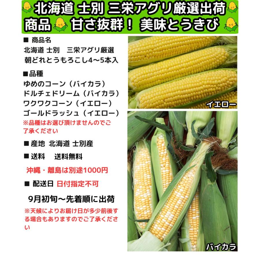 とうもろこし 北海道 士別 2L〜L 4〜5本入 メロンより甘い 生食OK