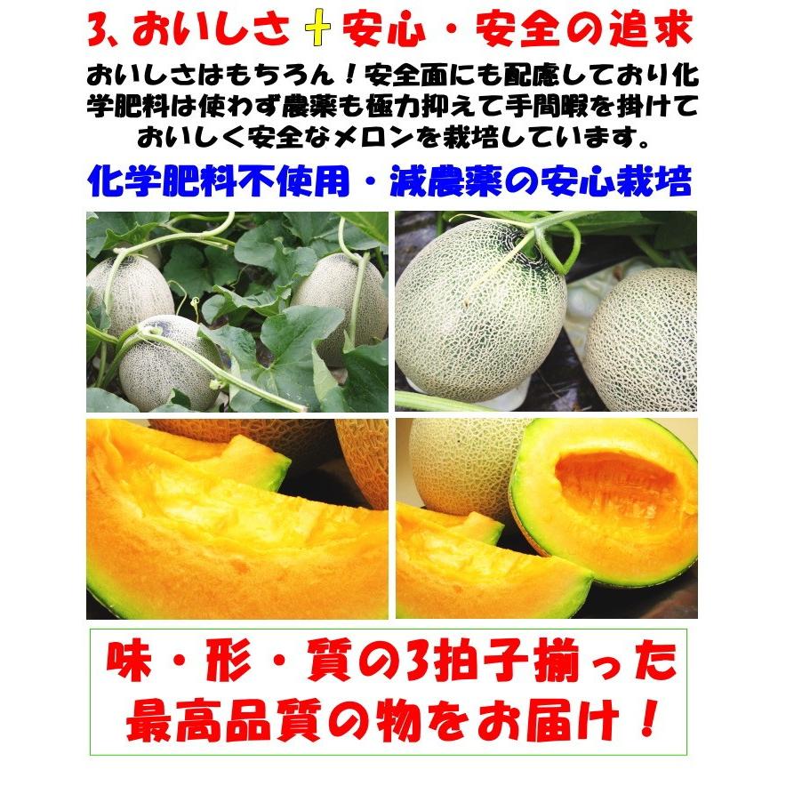 人気の雑貨がズラリ 送料無料 完全無農薬 富良野 有機 果物 1 5kg 秀