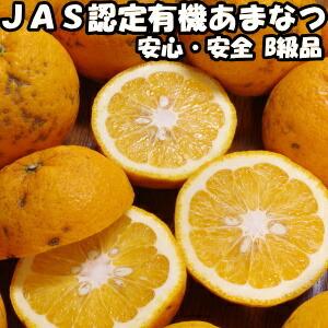 みかん 甘夏 訳あり 4kg 有機jas 認証 無農薬 あまなつ 送料無料 佐賀 鹿島 佐藤農場 有機栽培 オーガニック わけあり 甘夏みかん 4kg B品 混合 直送 箱 買い Sato Amanatsu01 クックス産直ヤフー店 通販 Yahoo ショッピング