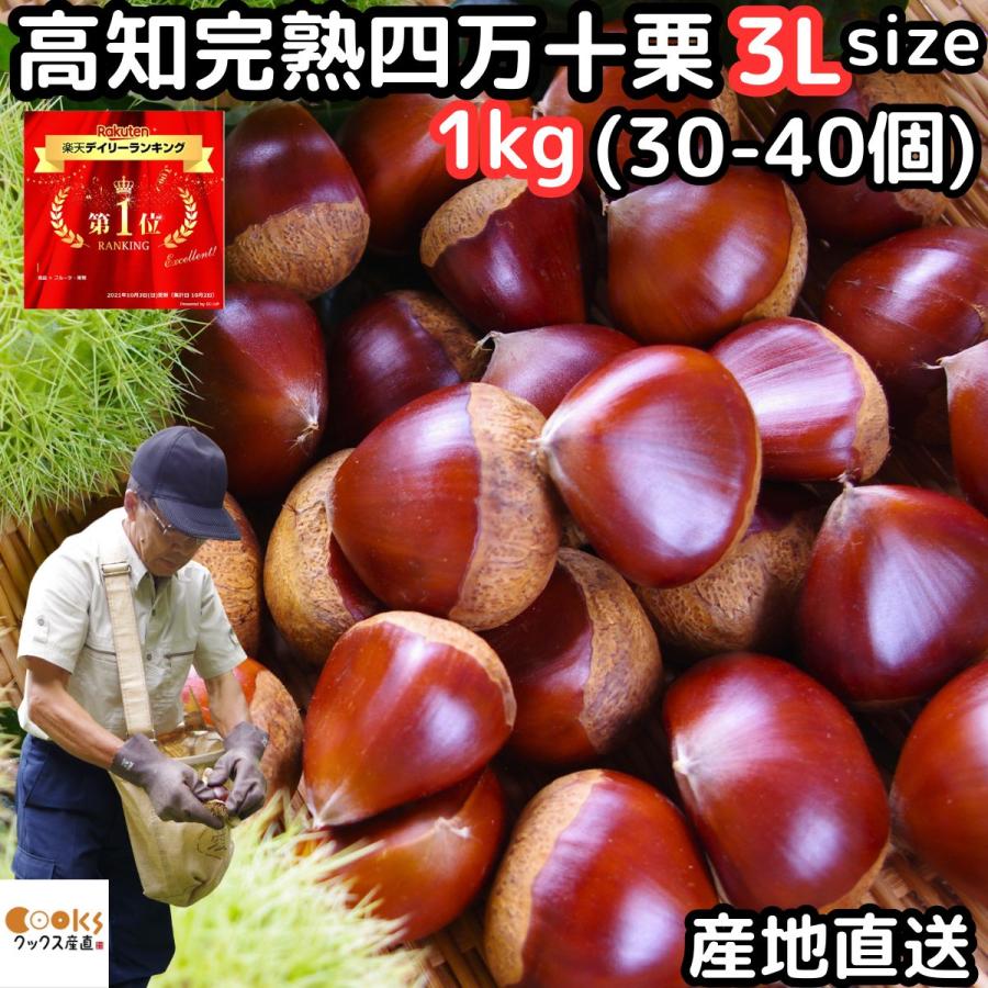 栗 生栗 送料無料 高知 西土佐産 四万十栗 約1kg 3Lサイズ 約30〜40個
