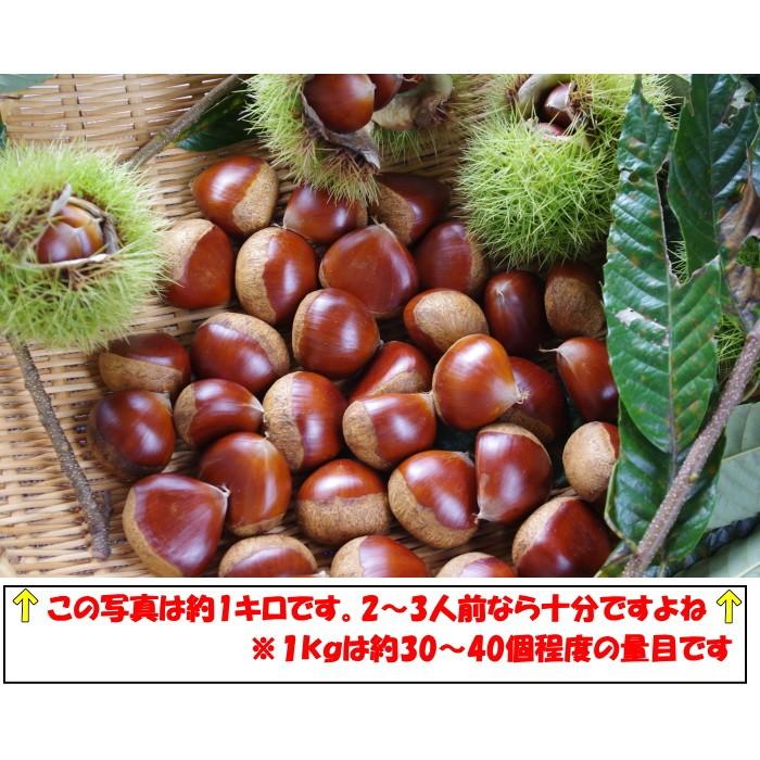 栗 生栗 送料無料 高知 西土佐産 四万十栗 約1kg 3Lサイズ 約30〜40個 大粒 なまぐり なまくり :shimanto-kuri01 ...