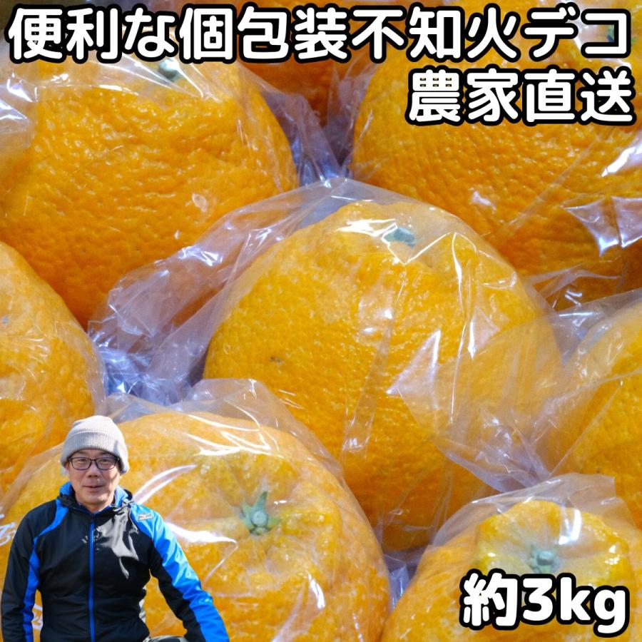 デコポン 同品種 不知火 3kg 贈答用 個包装 和歌山 fromありだ 甘い