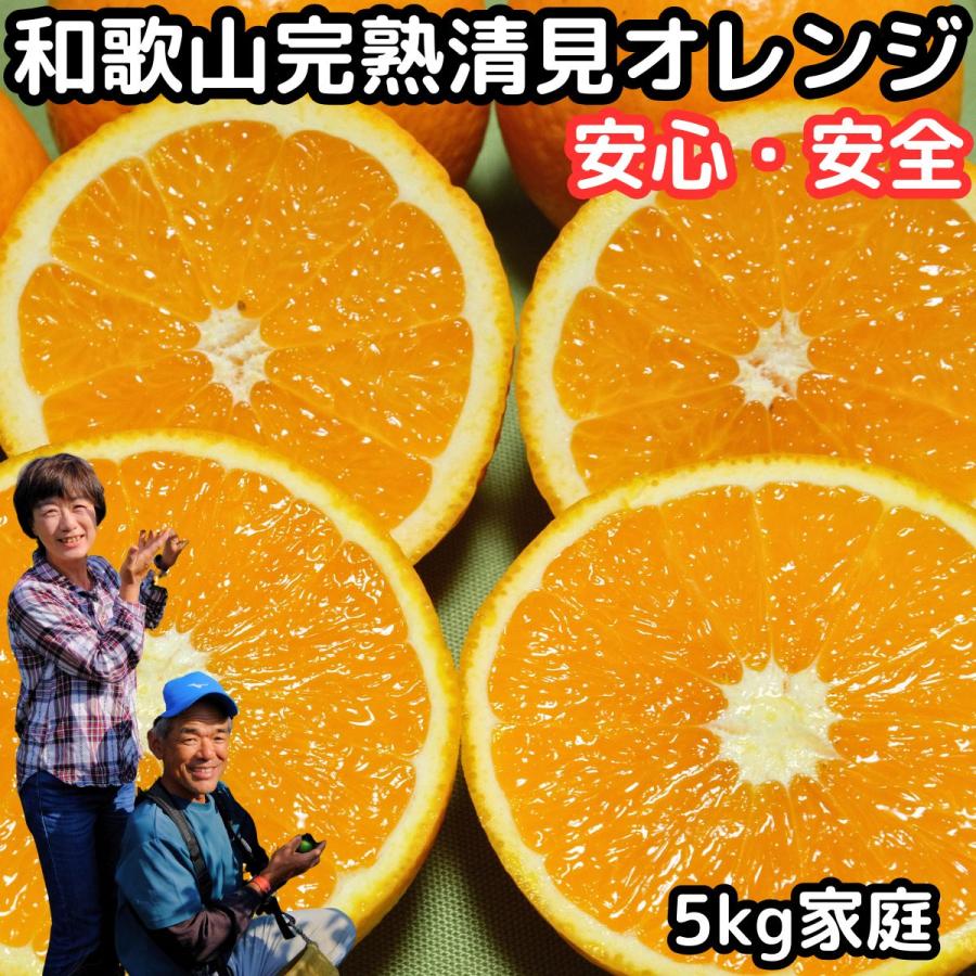 清見 訳あり 和歌山 有田 完熟 オレンジ 5kg 家庭用 甘い 糖度
