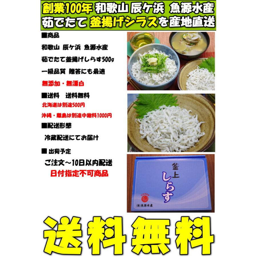 しらす 釜揚げ 未冷凍 無添加 御中元 ギフト 天然塩使用 500g 無