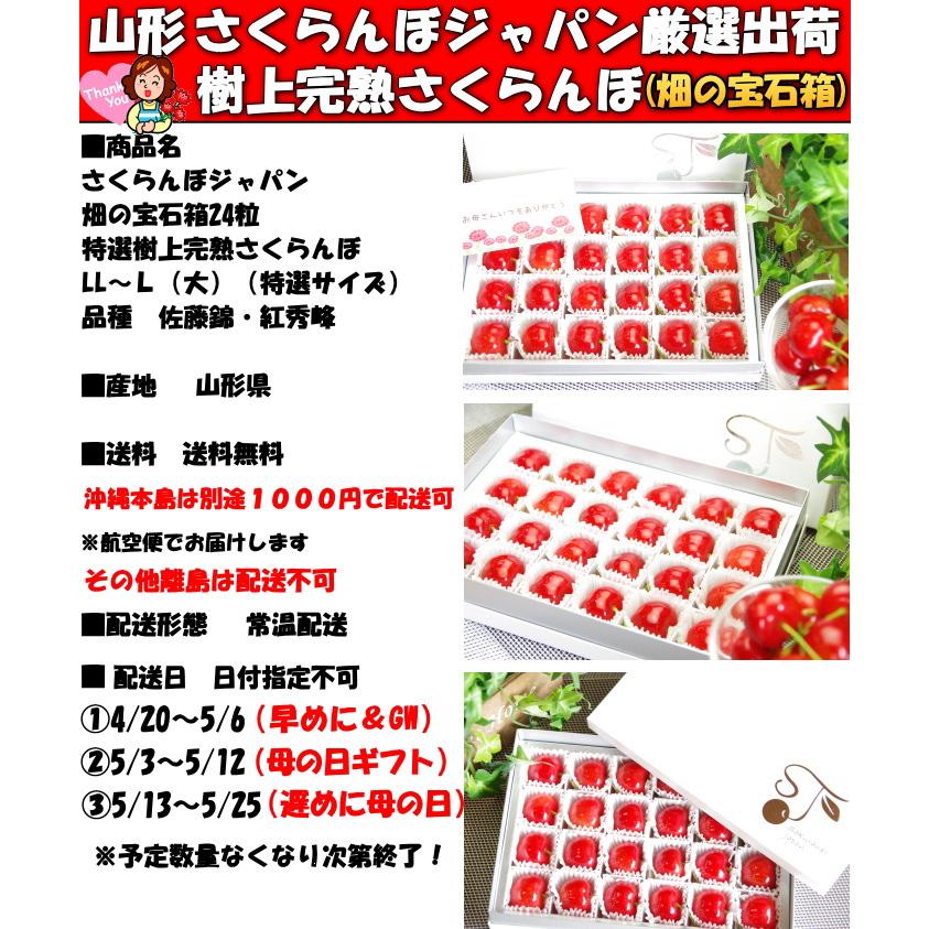 さくらんぼ 母の日 ギフト プレゼント 24粒 特選 2Ｌ〜L大 佐藤錦 紅秀峰 東京某高級店御用達 山形 完熟｜cooksanchoku｜02