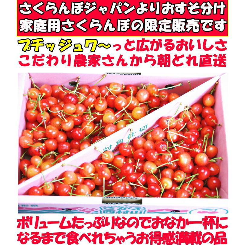 さくらんぼ 訳あり 1kg 家庭用 佐藤錦 紅秀峰 山形 寒河江 L- M サイズ