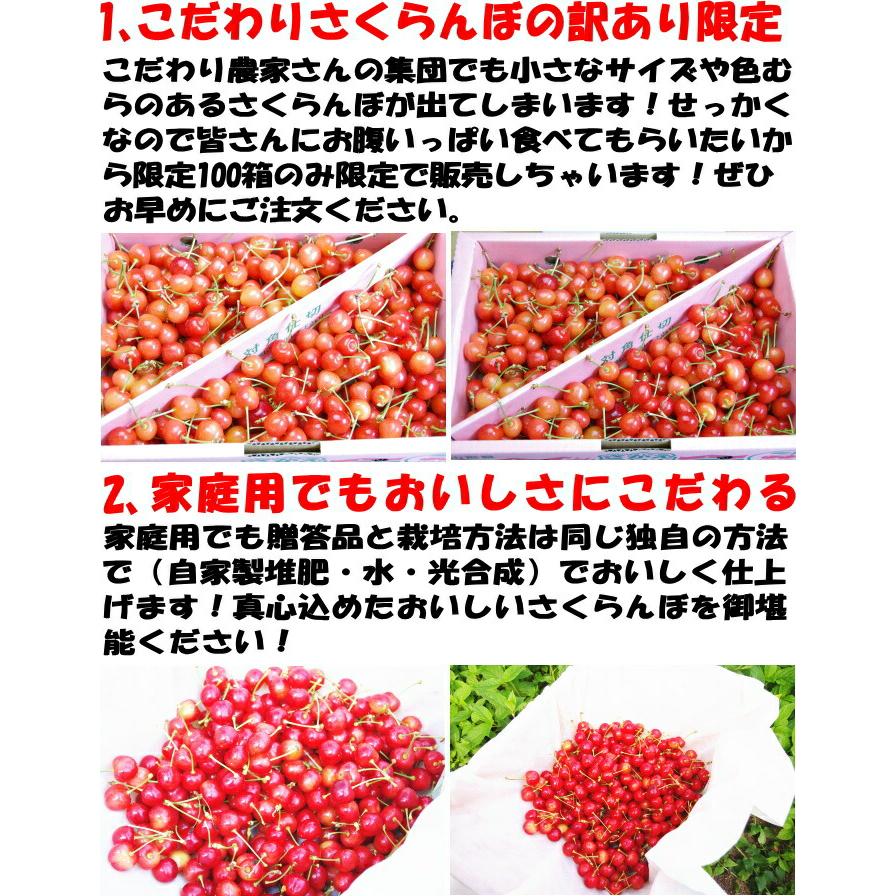 さくらんぼ 訳あり 1kg 家庭用 佐藤錦 紅秀峰 山形 寒河江 L- M サイズ