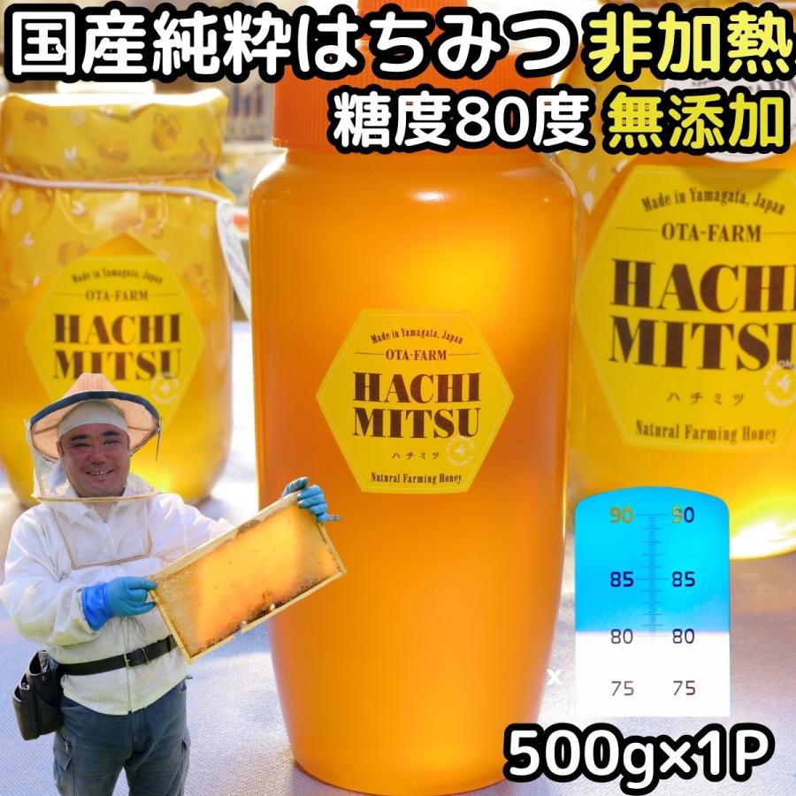 はちみつ 国産 送料無料 非加熱 500g 1本 ギフト 糖度80度越え 無添加