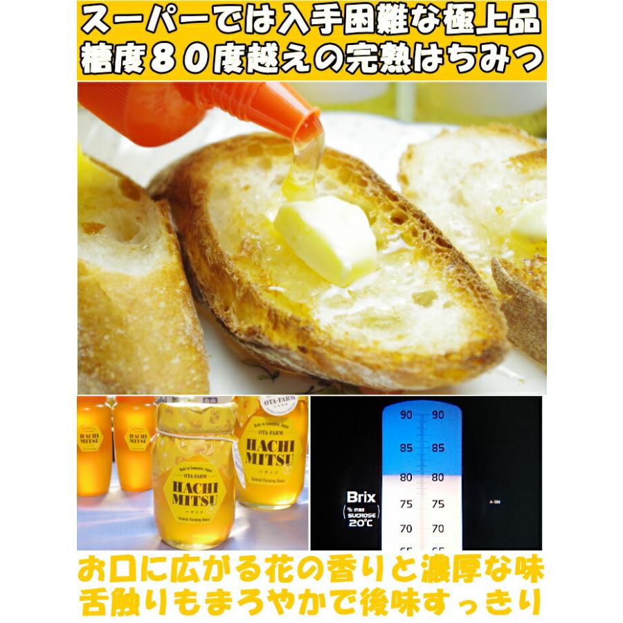 はちみつ 国産 非加熱 無添加 純粋 100% 完熟 500g 2本 1kg 糖度80度