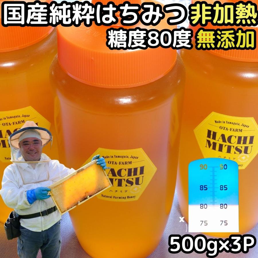 食品 蜂蜜 1200g 3本 生蜂蜜 完熟はちみつ 非加熱 国産蜂蜜