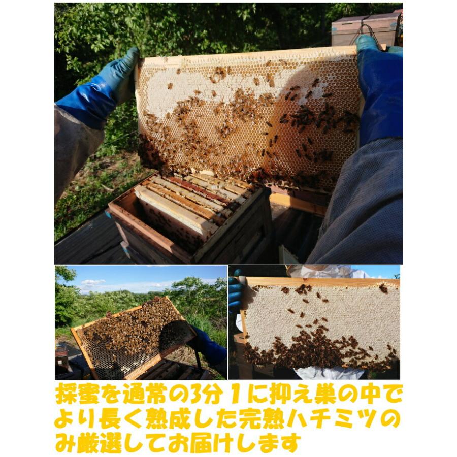予約】 はちみつ 国産 非加熱 無添加 純粋 100% 完熟 1050g 1本 糖度80