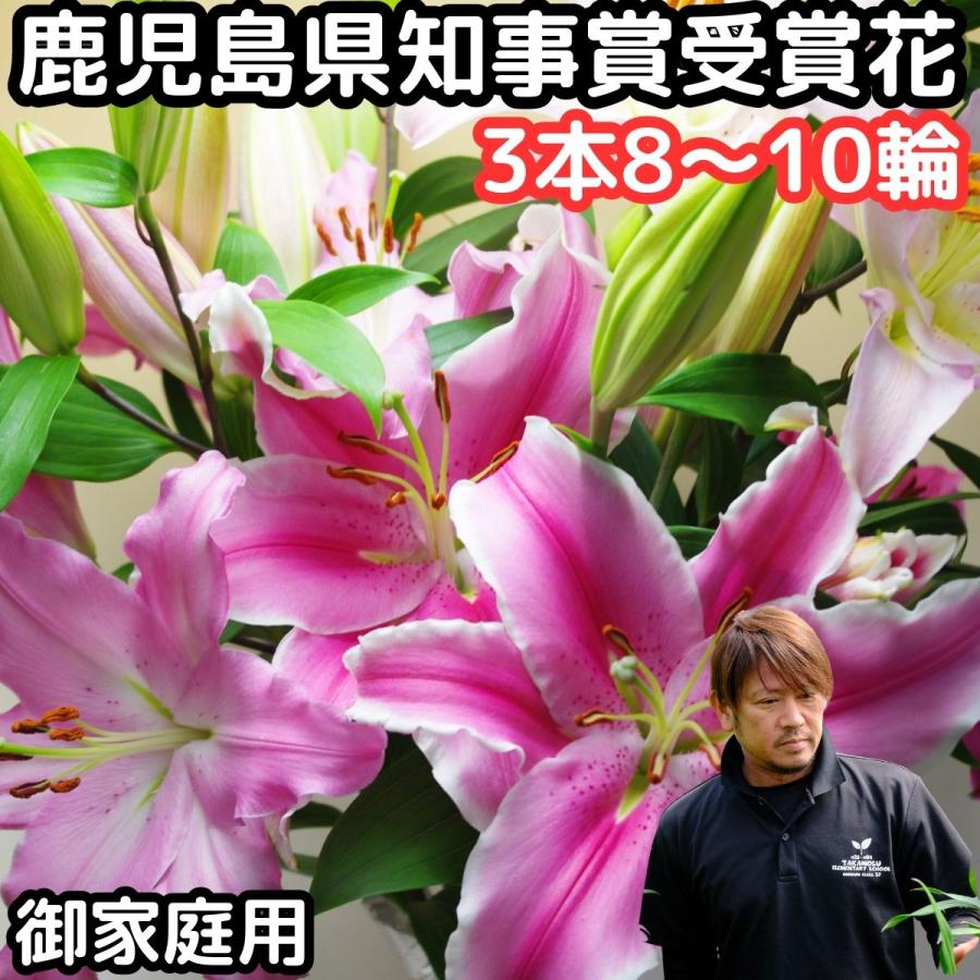 花 ユリ ピンク 花束 大輪 家庭用 ミックス3本 8〜10輪以上 国産 花