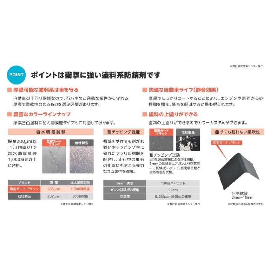 NX496 塩害ガード スプレー ブラック 海 融雪 泥 防錆 対策 足 NX496 塩害ガード スプレー ブラック 海 融雪 泥 防錆 対策 足
