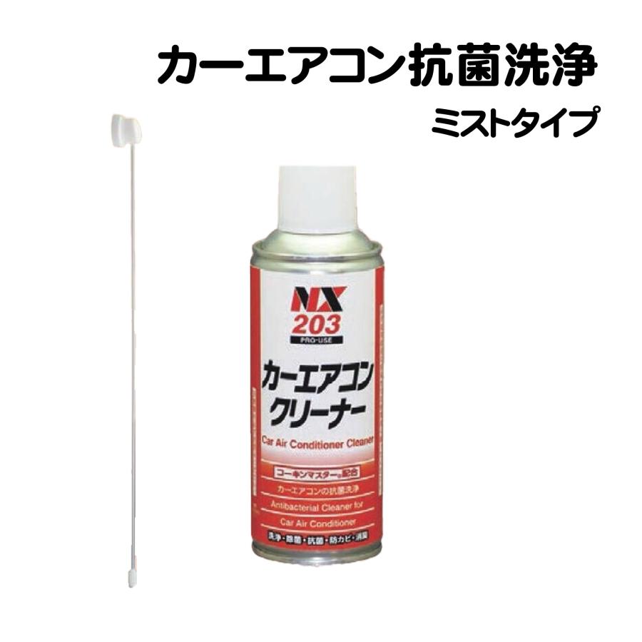 イチネンケミカルズ カーエアコンクリーナー 抗菌 洗浄 カビ 臭い 脱臭