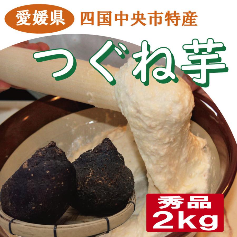 つぐね芋（つくね芋） 秀品 2kg 四国中央市特産 希少な山芋 強い粘り