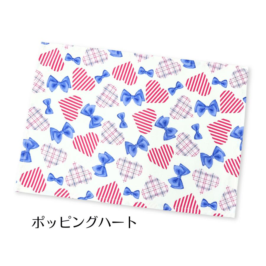 ランチョンマット 25 35 ミニ 子供 小さめ 長方形 35×25 幼稚園 保育園