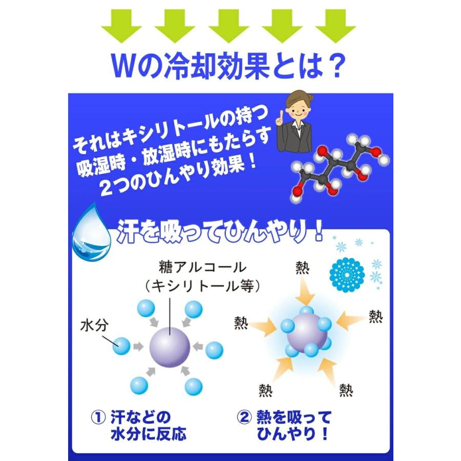 抱き枕 抱きまくら 夏用 接触涼感  カバー付  ひんやり 冷感 キシリトール   クールアーティスト COOLARTIST 43×130cmの画像