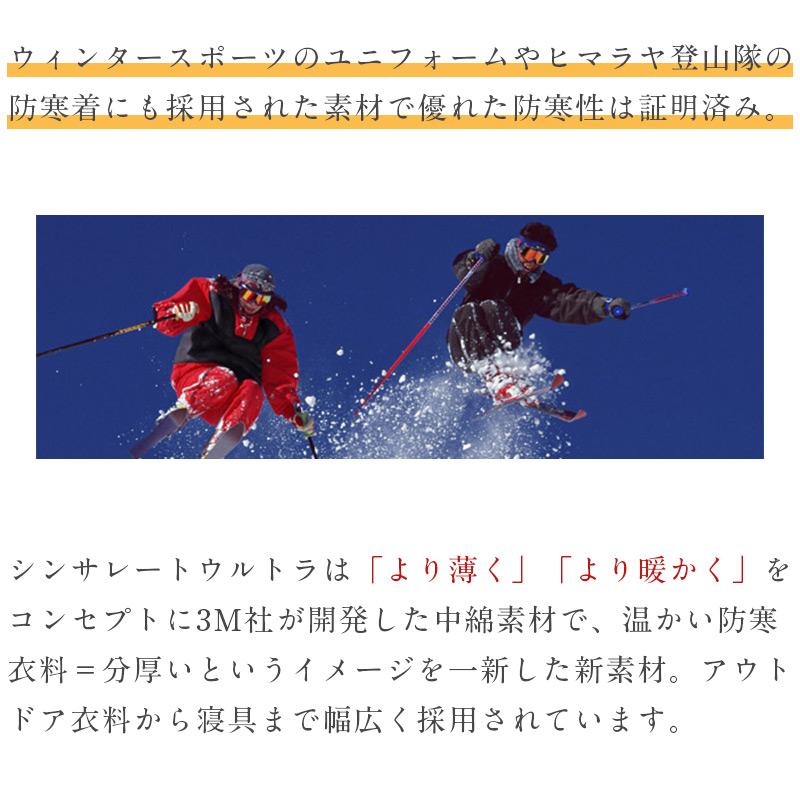 掛け布団 シンサレート掛布団 ダブル 羽毛の2倍暖かい新素材 シンサレートUltra 190×210cm 高機能中綿 防ダニ 抗菌防臭 吸汗速乾 ノンダスト | ブランド登録なし | 09