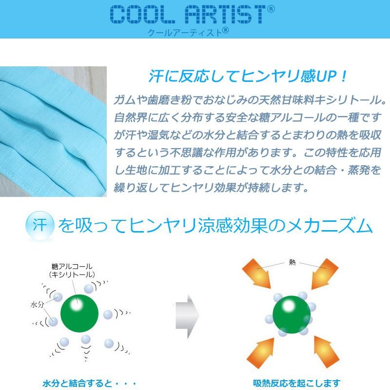 マスク 冷感マスク 日本製 抗菌 制菌 洗える 涼感プリーツマスク 2層式