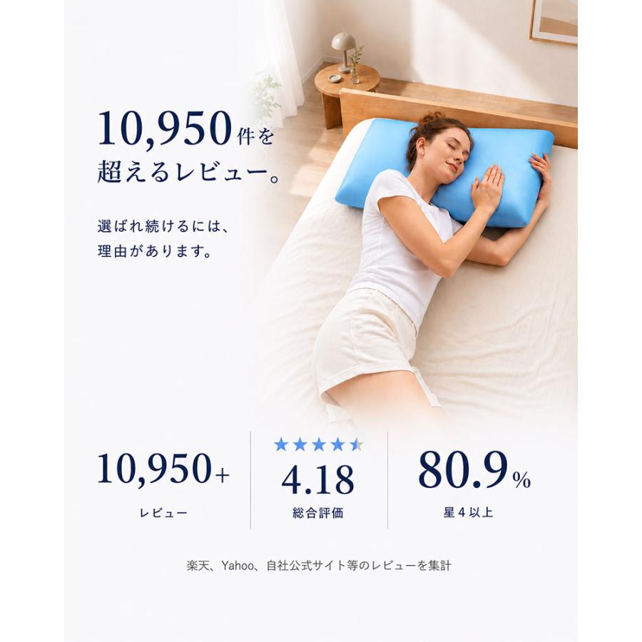 BlueBlood（ブルーブラッド） 枕 まくら テンセルカバー付き 選べる高