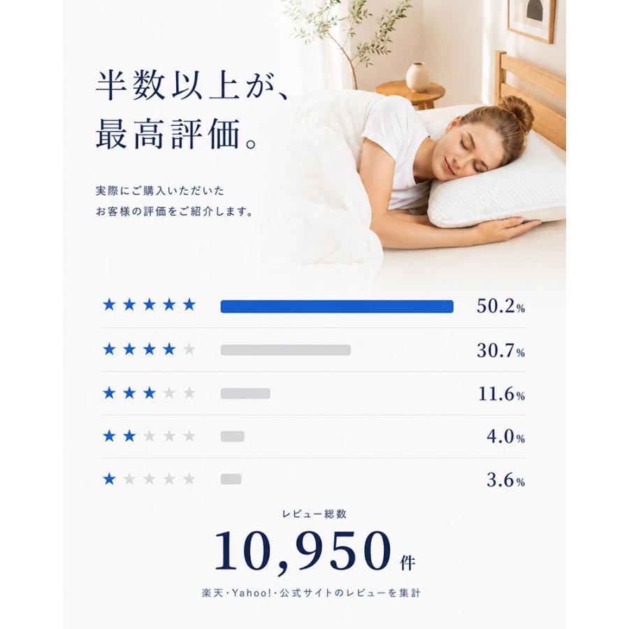 BlueBlood（ブルーブラッド） 枕 まくら テンセルカバー付き 選べる高