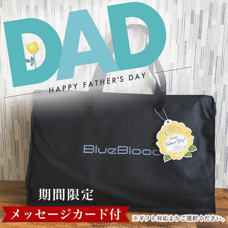 BlueBlood（ブルーブラッド） 枕 まくら テンセルカバー付き 選べる高