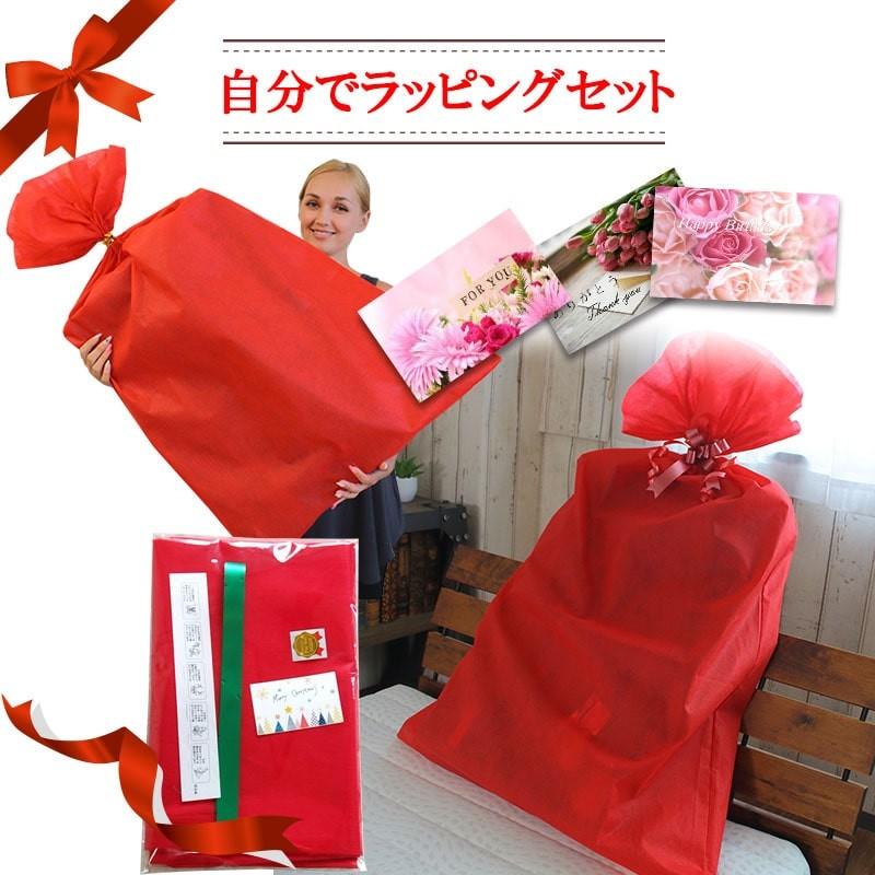 ラッピング ギフトバッグ Giftbag 自分でラッピングセット ネコポス送料無料 ラッピング資材 包装袋 040 0358 Coolzon もっと眠りを楽しもう 通販 Yahoo ショッピング