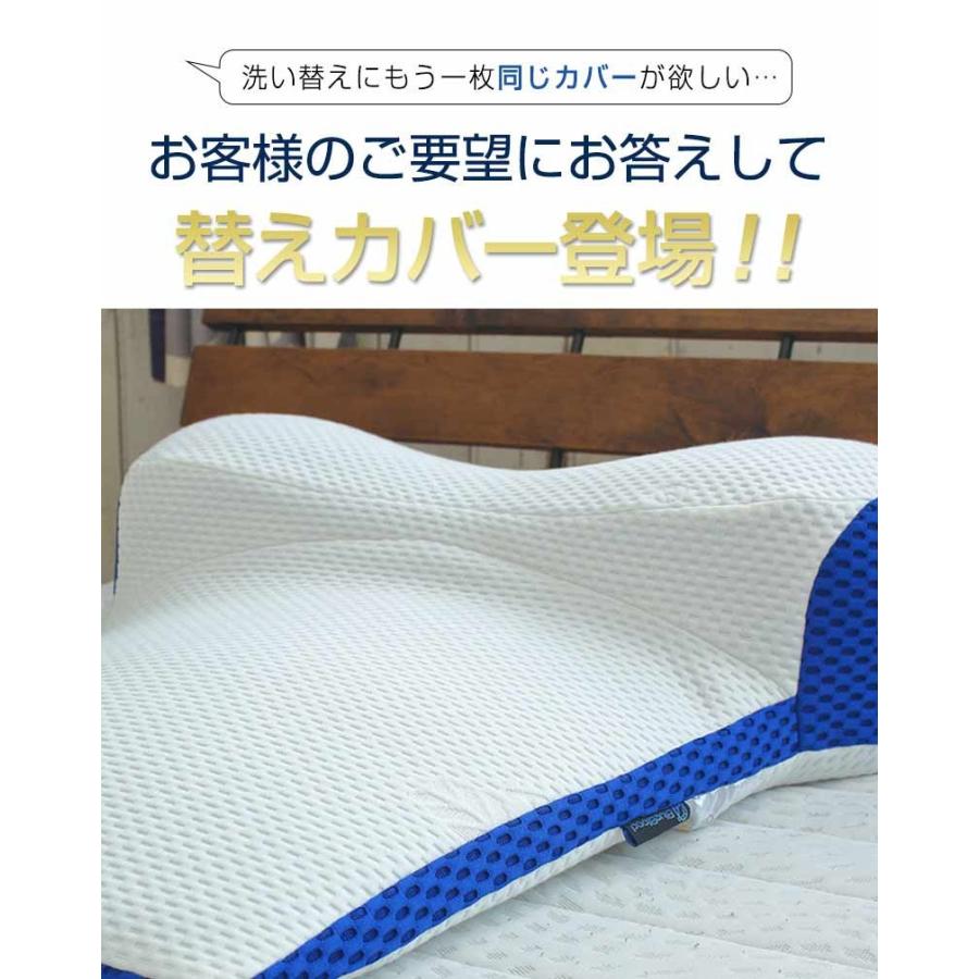 枕カバー テンセル 天然成分 洗濯可 洗い替え プラーナ専用枕カバー BlueBlood ピローケース | BlueBlood | 01