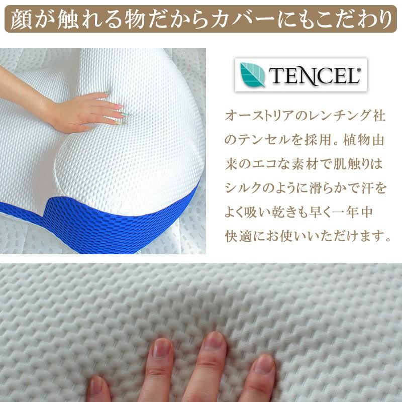枕カバー テンセル 天然成分 洗濯可 洗い替え プラーナ専用枕カバー BlueBlood ピローケース | BlueBlood | 02