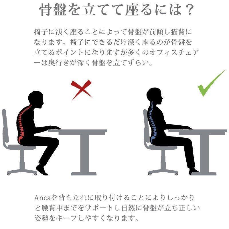 背もたれ 腰当て 背当てクッション 腰クッション デスクワーク テレワーク 腰痛 骨盤 姿勢改善 ブルーブラッド アンカ Blueblood Anca ギフト対応 040 0368 Coolzon もっと眠りを楽しもう 通販 Yahoo ショッピング