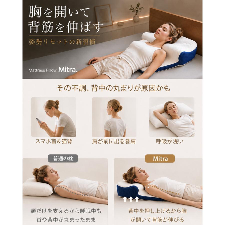 BlueBlood（ブルーブラッド） 枕 まくら 背中まである 背中のこり