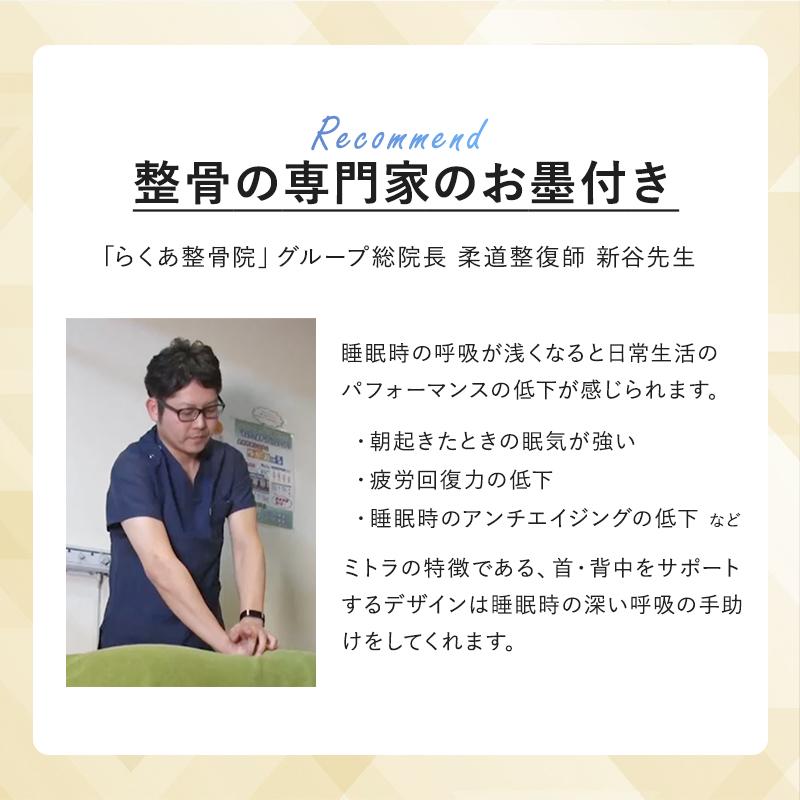 BlueBlood 枕 ブルーブラッド まくら 背中まである 背中のこり BlueBlood 枕 ブルーブラッド まくら 背中まである 背中のこり