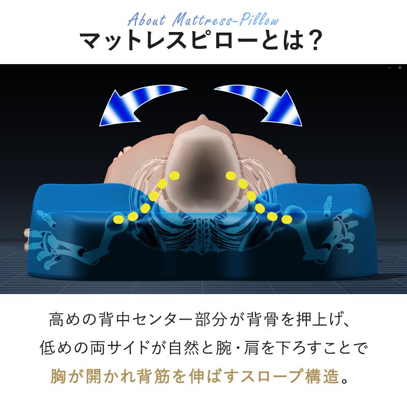 BlueBlood 枕 ブルーブラッド まくら 背中まである 背中のこり BlueBlood 枕 ブルーブラッド まくら 背中まである 背中のこり