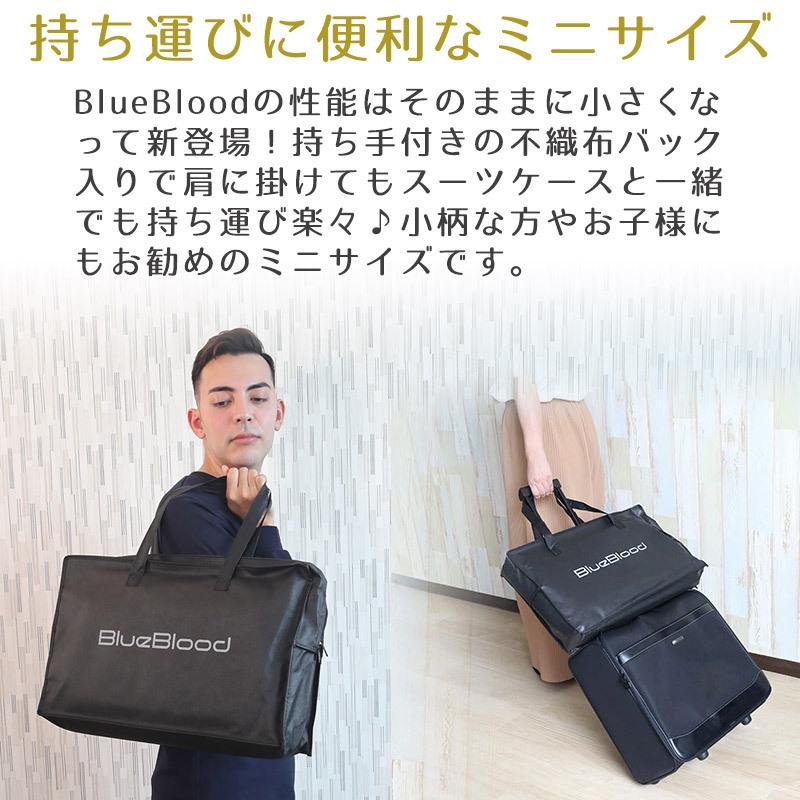 BlueBlood（ブルーブラッド） 枕 まくら 旅行用 こども 持ち運び 子供