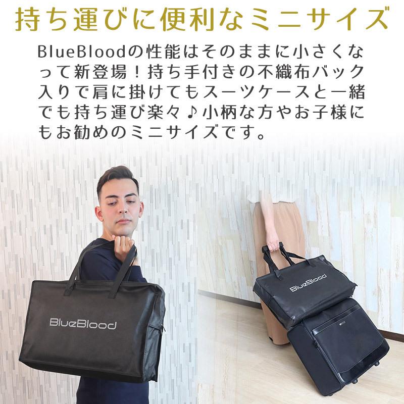 枕 まくら 旅行用 こども 持ち運び 子供 帰省 収納袋付き 出張 車中泊 ブルーブラッド ミニ piccolo ピッコロ