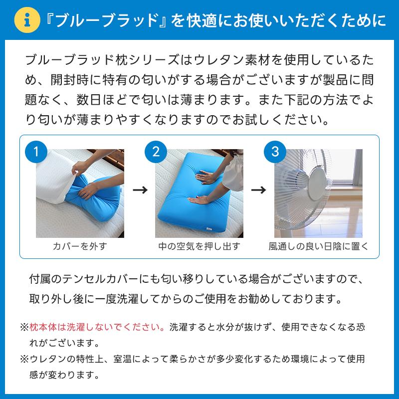BlueBlood（ブルーブラッド） 枕 まくら カバーセット コアピロー