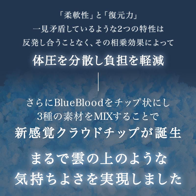 抱き枕 低反発 妊婦 おすすめ  だきまくら U型 U字型 抱きまくら  腰痛 横向き寝 いびき 洗えるカバー 安心 サイレントスリーパー Silent Sleeper | BlueBlood | 12