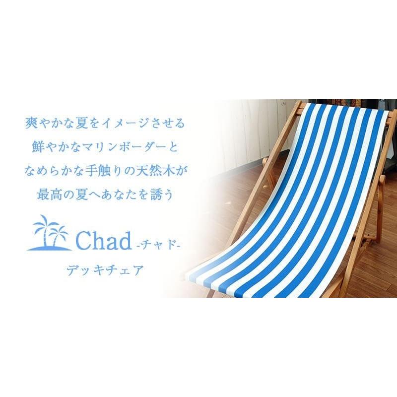 Christian Dior Dioriviera デッキチェア ブルー Christian Dior Dioriviera デッキチェア ブルー Christian Dior