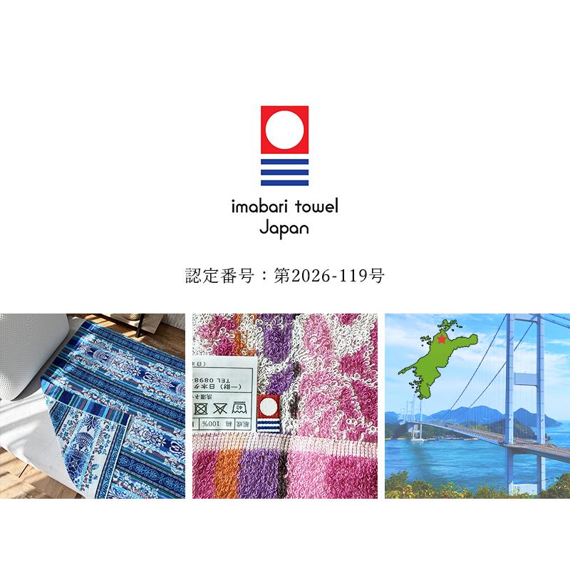 今治タオル（imabari towel） タオルケット シングルサイズ 多色使い
