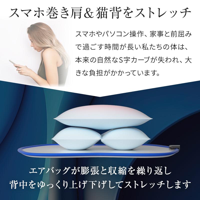 BlueBlood（ブルーブラッド） 動く背中枕 背中枕 肩甲骨 背中