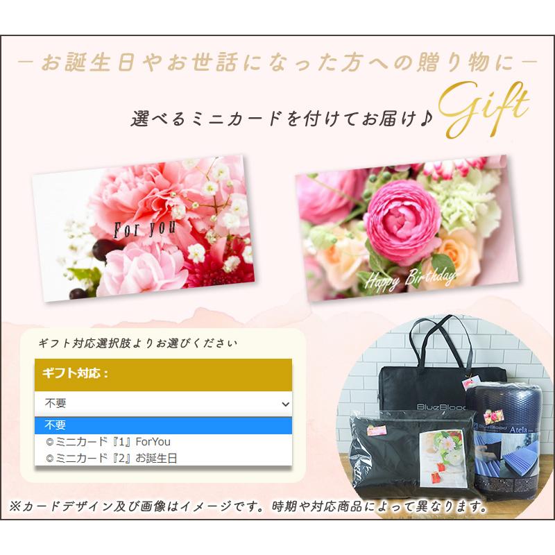 ヤフーショッピング限定 いびき枕EXピロー＆モダールカバーセット  いびき防止 まくら パイプ枕 日本製  睡眠時無呼吸症候群 肩こり 首こり  首狩り族 高さ調整 | Head Hunter | 19